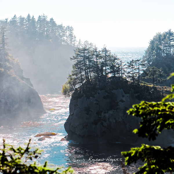 View Exhibit: CAPE FLATTERY