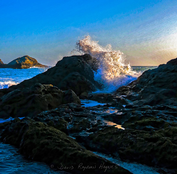 View Exhibit: HARRIS BEACH, OREGON