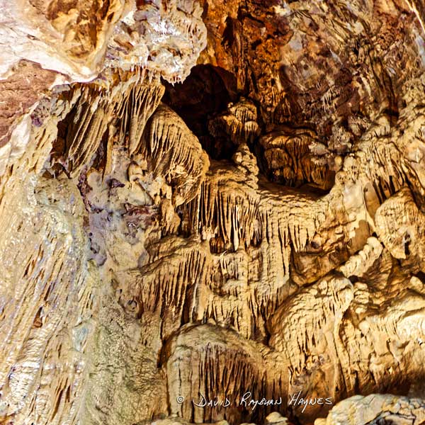 View Exhibit: LAKE SHASTA CAVERNS