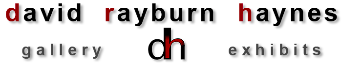 drhaynes.com site logo